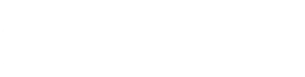 Stebex